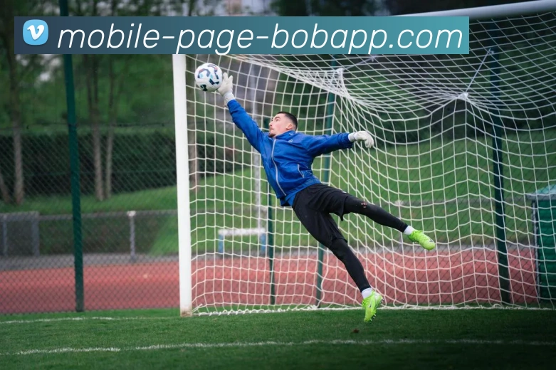 BOB体育服务体系